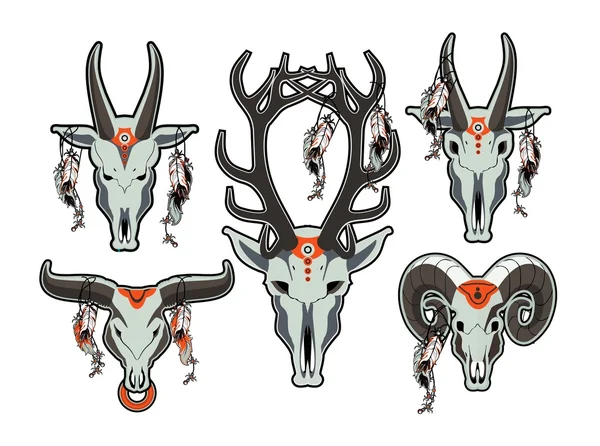 hayvan kafatası kümesi