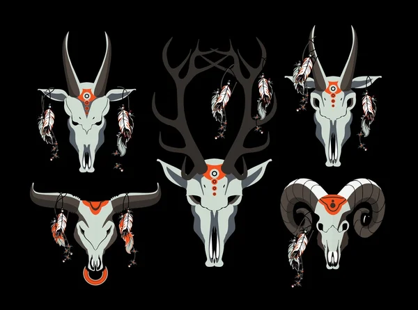 hayvan kafatası kümesi