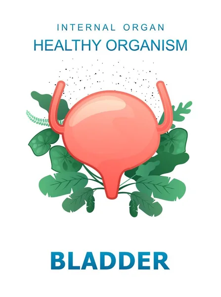 白を基調とした概念医学的縦書きポスター生体内の微生物叢の葉に囲まれた内臓のアイコン疾患の健康と治療膀胱 — ストックベクタ