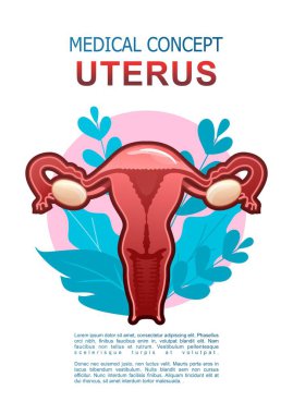 Beyaz arka planda kavramsal medikal dikey poster. Organizmanın yaprakları, hastalıkların tedavisi, kadın üreme organlarının rahmi ve mikroflora yapraklarıyla çevrili iç organ ikonu.