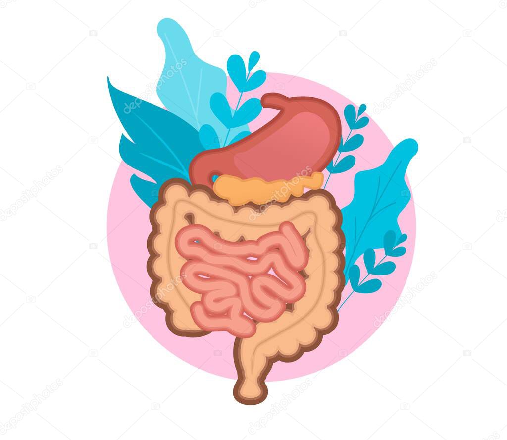 vector emblem round shape medical concept gastrointestinal tract microflora organism
