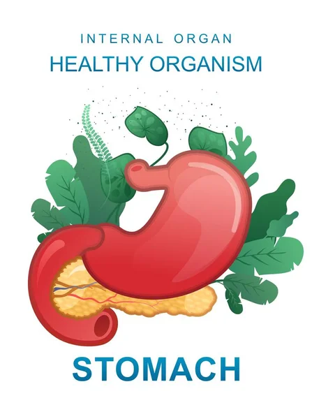 白を基調とした概念医学縦型ポスター生体内の微生物叢の葉に囲まれた内臓のアイコン疾患の健康と治療消化管胃 — ストックベクタ