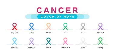 set of multicolored ribbons symbol of cancer of internal organs on a white background clipart