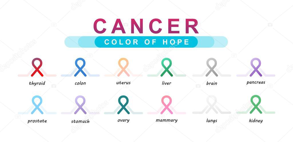 set of multicolored ribbons symbol of cancer of internal organs on a white background