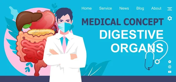 Concepto médico banner órganos internos — Vector de stock