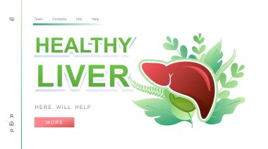 kayıt formu tasarım iç organlar karaciğer