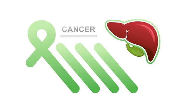 Konzeptionelle Medizinische Banner Landing Page Lebererkrankungen Krebs Hoffnung Und Unterstützung — Stockvektor
