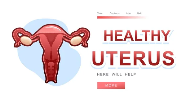 Banner vrouwelijk genitaal orgaan uterus — Stockvector