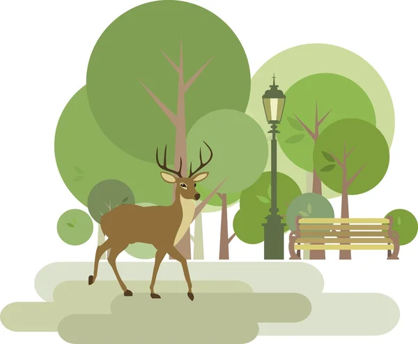 Park with deer — Stock Vector