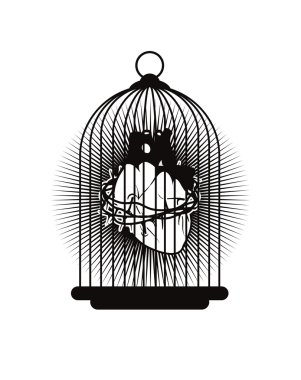 İnsan kalbi hücrelerde