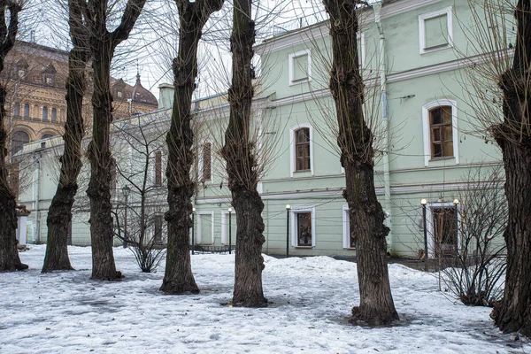 City winter courtyard, with a tree and a building in the background