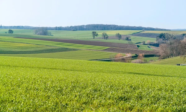 Paisaje rural de primavera —  Fotos de Stock