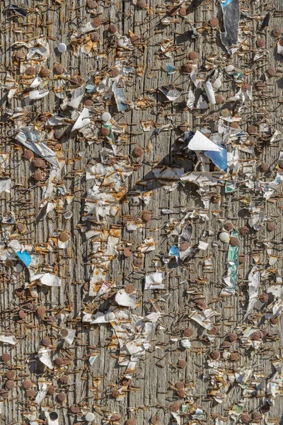 Wood with staples and pins — Stock Photo, Image