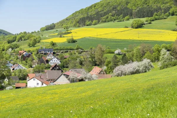 Landschaft des ländlichen Frühlings — Stockfoto