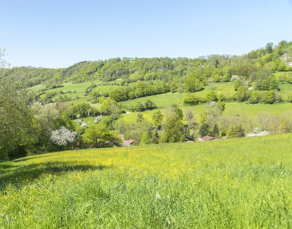 Landelijke lente landschap — Stockfoto