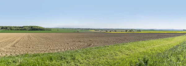 Landschaft des ländlichen Frühlings — Stockfoto