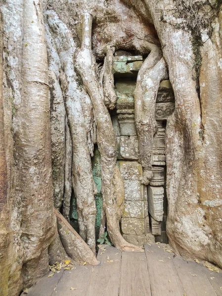 Temple detail at Ankor Thom — Stock Photo, Image