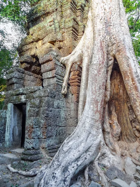 Ankor Thom Tapınağı detay — Stok fotoğraf