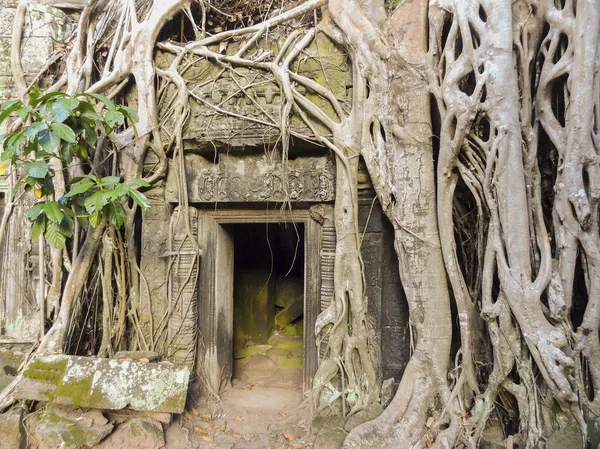 Tempel Detail bei ankor thom — Stockfoto