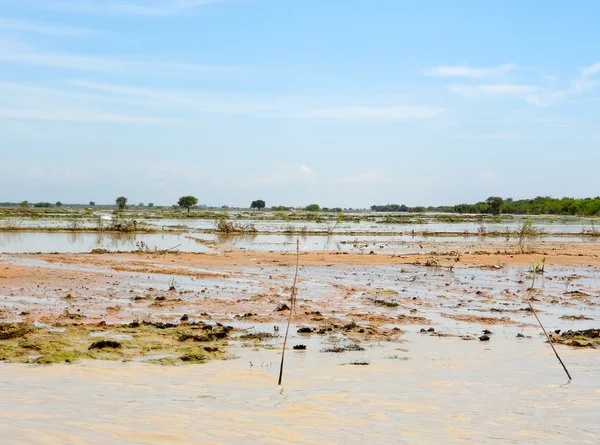 Flooded scenery at the Tonle Sap river — Stock Photo, Image