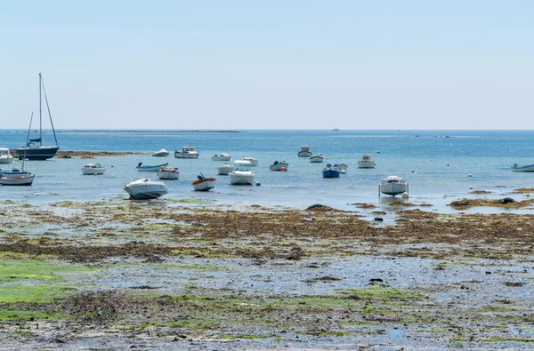 Rond Penmarch in Bretagne — Stockfoto