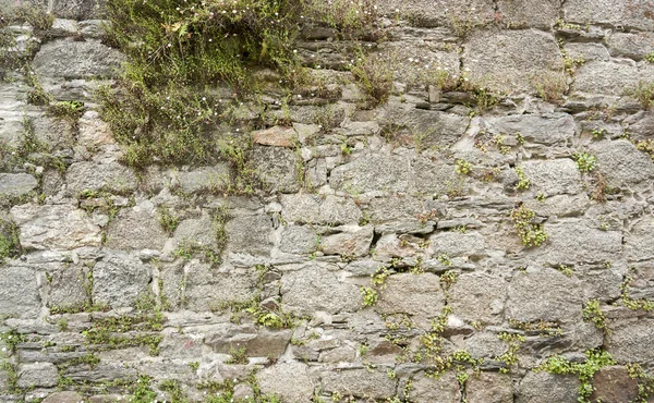 Detalle de pared de piedra abstracta —  Fotos de Stock