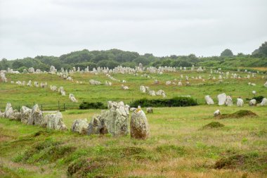 Carnac stones in Brittany clipart