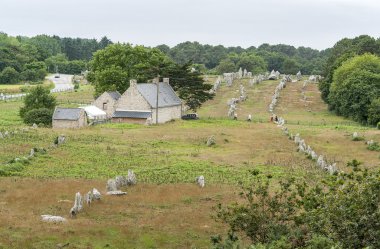 Carnac stones in Brittany clipart