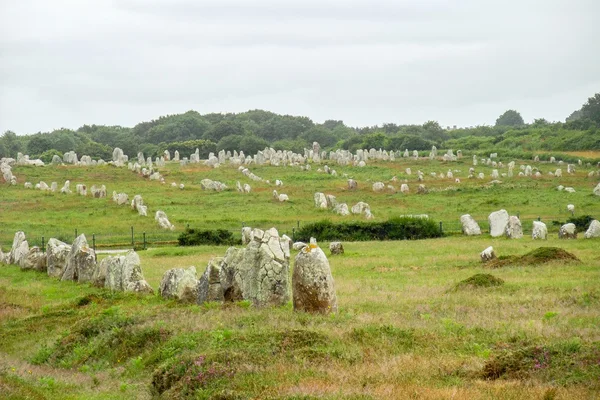 Carnac stones in Brittany — Stock Photo, Image