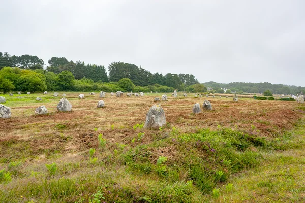 Piedras de carnac en Bretaña — Foto de Stock