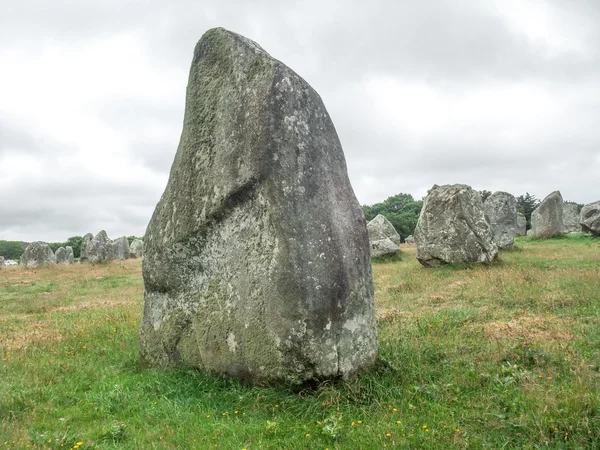 Carnac-Steine in der Bretagne — Stockfoto