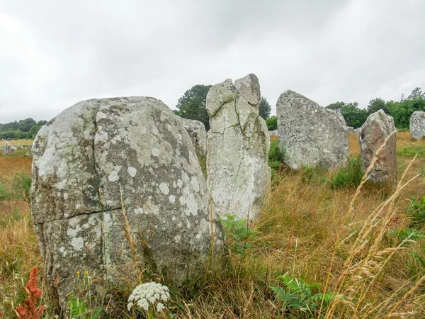 Piedras de carnac en Bretaña — Foto de Stock