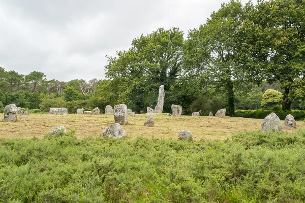Carnac stones i Bretagne — Stockfoto