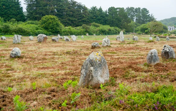 Piedras de carnac en Bretaña — Foto de Stock