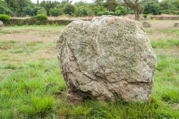 Piedras de carnac en Bretaña — Foto de Stock