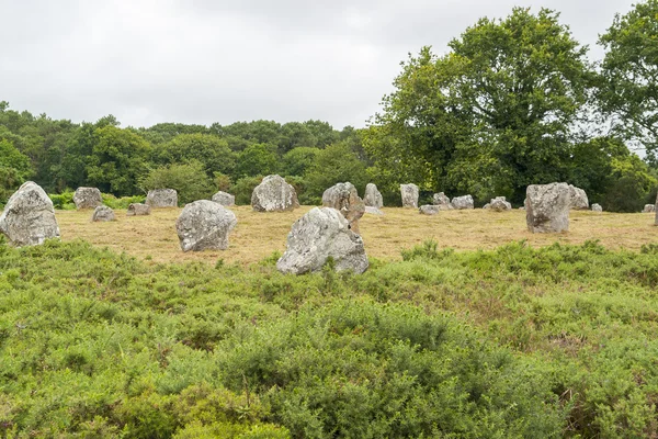 Stenen van Carnac in Bretagne — Stockfoto