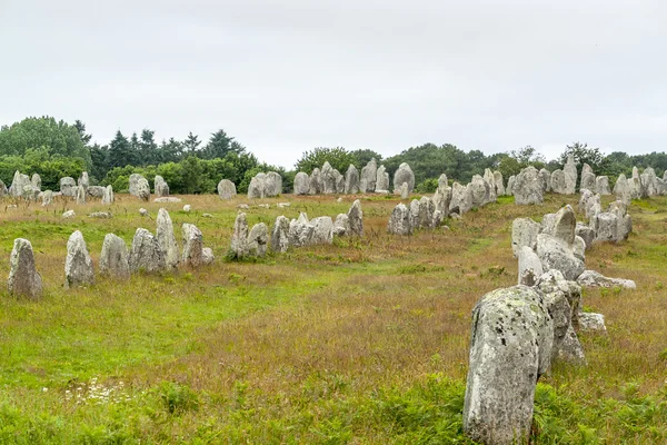 Stenen van Carnac in Bretagne — Stockfoto