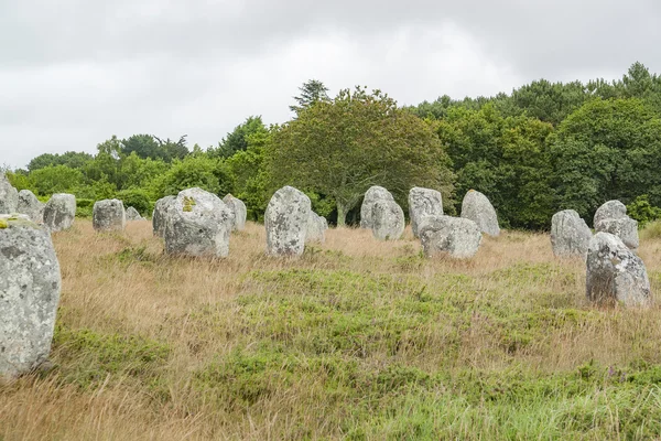 Piedras de carnac en Bretaña — Foto de Stock