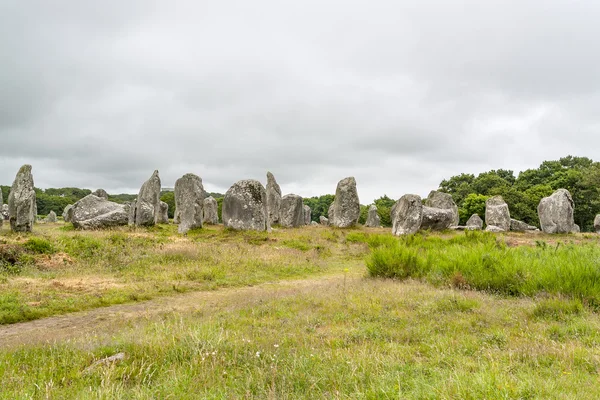 Piedras de carnac en Bretaña — Foto de Stock