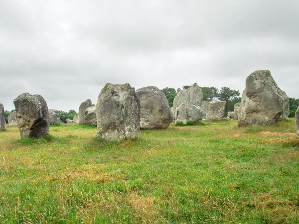 Piedras de carnac en Bretaña —  Fotos de Stock