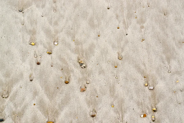 Spiaggia bagnata dettaglio — Foto Stock