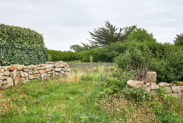 Ländliche Landschaft in der Bretagne — Stockfoto