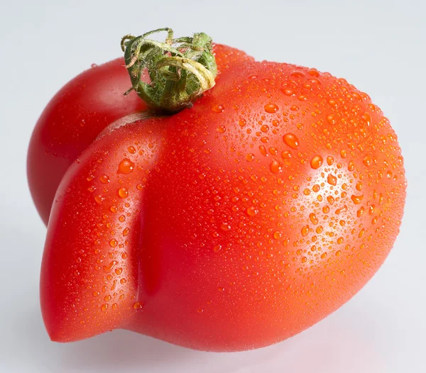 Strange shaped wet tomato — Stock Photo, Image