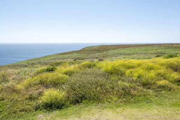 Pointe du Raz in Brittany — Stock Photo, Image