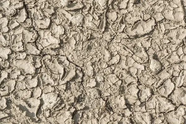 Superfície seca do solo — Fotografia de Stock