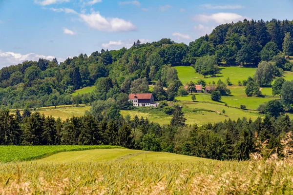 Cenário Idílico Torno Wiesenfelden Floresta Baviera Hora Verão — Fotografia de Stock