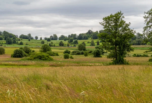 Idylliska Landskap Runt Wiesenfelden Den Bayerska Skogen Sommaren — Stockfoto