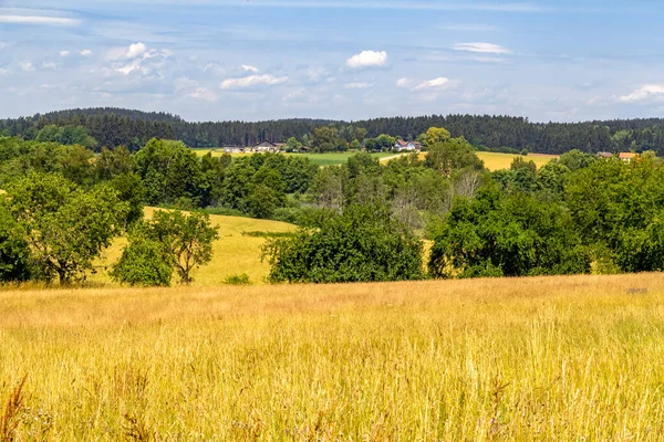 Idyllische Landschaft Rund Wiesenfelden Bayerischen Wald Zur Sommerzeit — Stockfoto