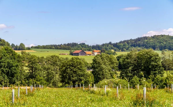 Idyllisch Landschap Rond Wiesenfelden Het Beierse Woud Zomer — Stockfoto
