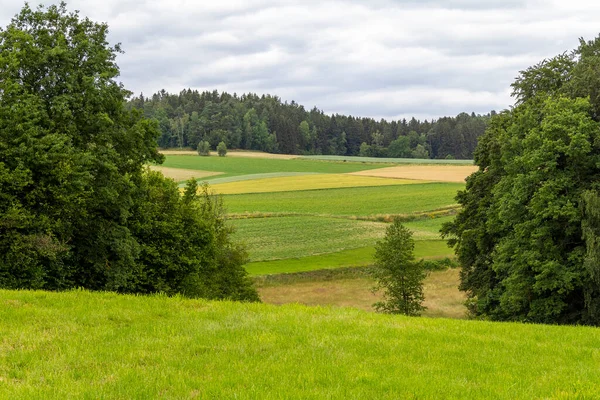 夏にはバイエルンの森のヴィーゼンフェルデン周辺の牧歌的な風景 — ストック写真